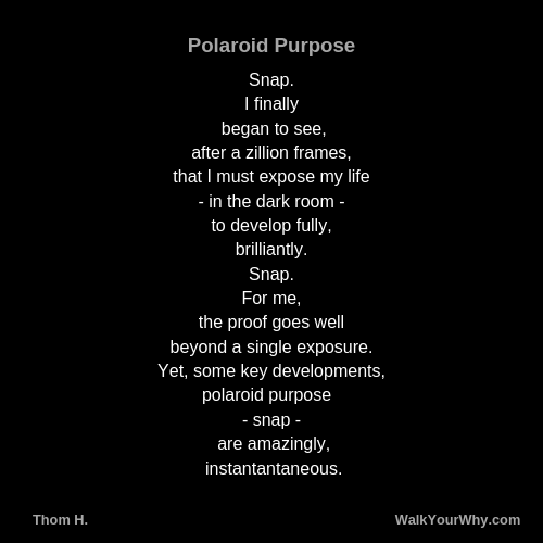 Polaroid Purpose