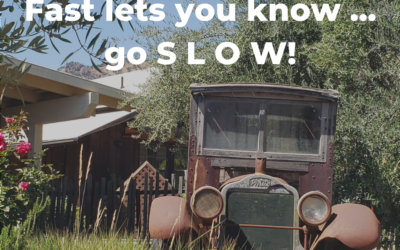 Fast Let’s You Know … Go SLOW!